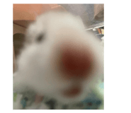 879000132