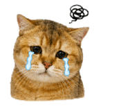879004948