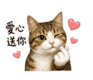 879005161