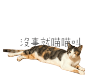 879007044