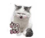 879017468