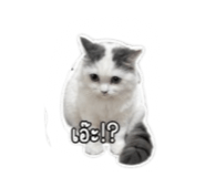 879017469