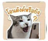 879023542