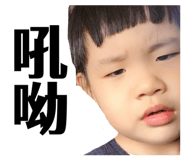 879025311