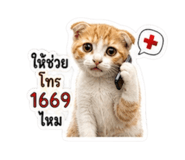879063319