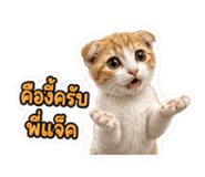 879063323