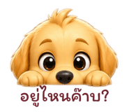 879069397