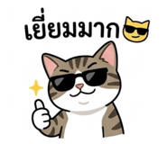 879080811