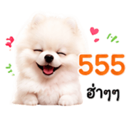 879080889