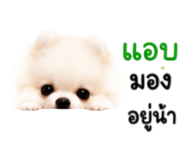 879080890