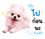 879080900