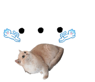 879090566