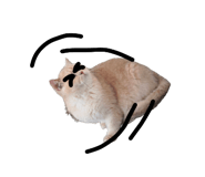 879090568