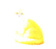 879090570