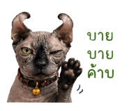879100704