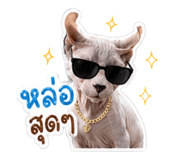 879100709