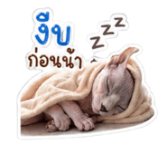 879100719