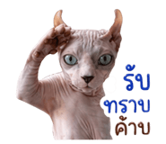 879100727