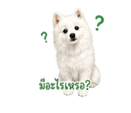 879101278