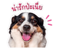 879104739