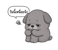 879105164