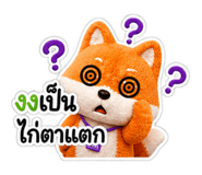 879105684