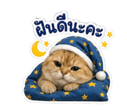 879106114