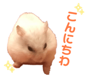 879111669