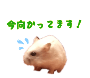 879111671