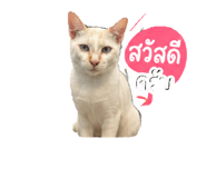 879113632