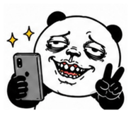 879125246