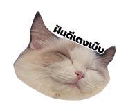 879129360