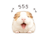 879130331