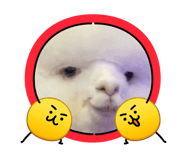 879131105
