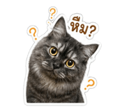 879132382
