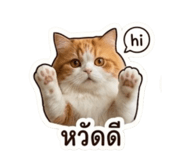879133532