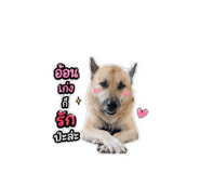 879134082