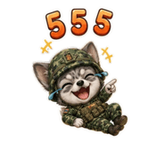 879137981