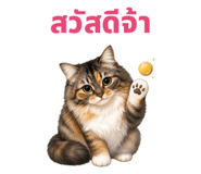 879138801