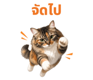 879138809