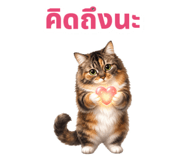 879138812