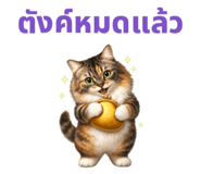 879138818