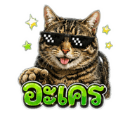 879143926