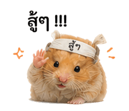 879144133