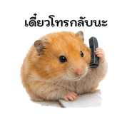 879144136