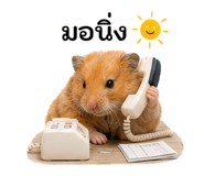 879144137