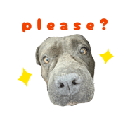 879149188