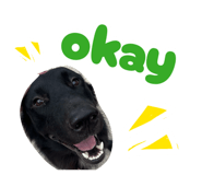 879149199