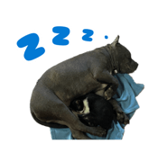 879149205