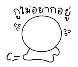 ซังซัง หัวกลม 4 3